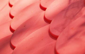 Prey Heath plastic roof costs